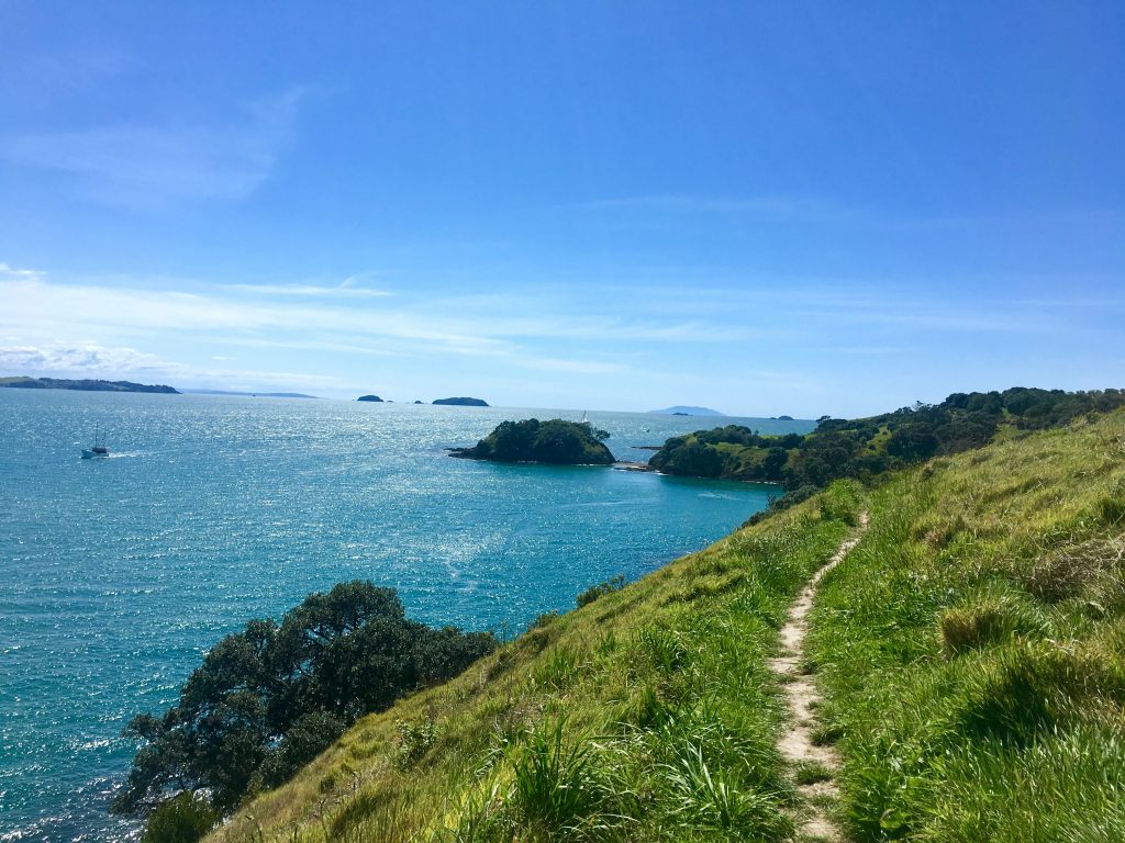 Trip to New Zealand and a view from Waiheke Island looking out over Hauraki Gulf