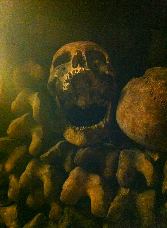 Catacombs in paris, a scull sitting on top of a row of bones and sculls. 