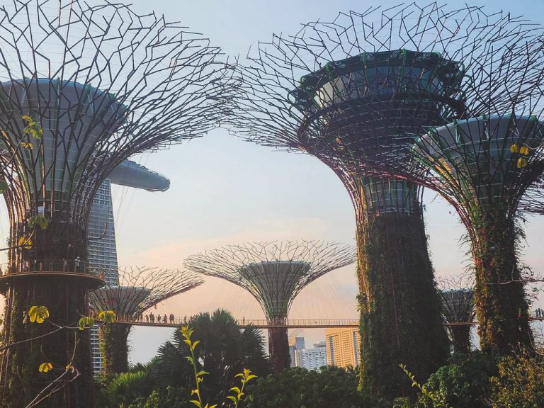 Skytree Grove looking up at Skytrees Singapore