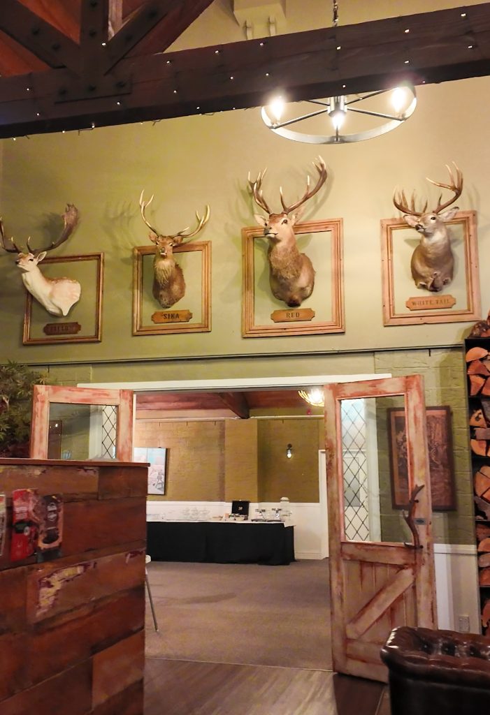 Stag Heads inside the The Five Stags Hanmer Springs