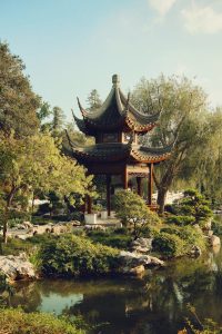 serene chinese pavilion in botanical garden