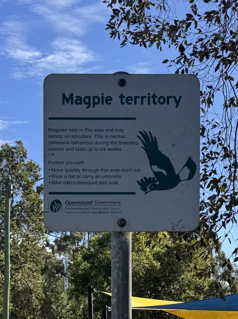 Sign that says "warning magpies"